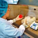 Expected Compliance Standards for Quality Control Laboratories
